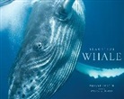 Bryant Austin, Bryant/ Earle Austin, Bryant Austin - Beautiful Whale