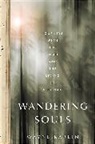 Wayne Karlin - Wandering Souls