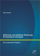 Edwin Orendi - Effiziente und effektive Förderung Erneuerbarer Energien: Ein europäischer Vergleich