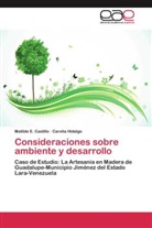 Matilde Castillo, Matilde E Castillo, Matilde E. Castillo, Carelia Hidalgo - Consideraciones sobre ambiente y desarrollo