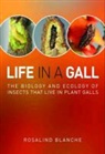 Rosalind Blanche - Life in a Gall