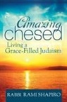 Rabbi Rami Shapiro, Rami Shapiro - Amazing Chesed