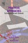 Robert Crichton, Ricardo Louro, Ricardo Crichton Louro, LOURO RICARDO CRICHTON ROBERT - Practical Approaches to Biological Inorganic Chemistry