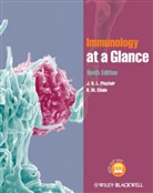 B M Chain, B. M. Chain, Chain B. M., J Playfair, J H Playfair, J H L Playfair... - Immunology At a Glance