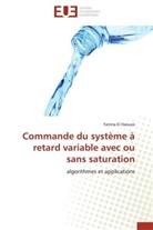 Fatima El Haoussi, El Haoussi-F - Commande du systeme a retard