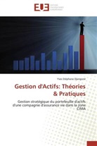 Yves S. Djangoné, Yves Stéphane Djangoné, Djangone-Y - Gestion d actifs: theories pratique