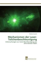 Bastian Aurand - Mechanismen der Laser-Teilchenbeschleunigung