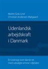 Andersen-Mølgaard, Christian Andersen-Mølgaard, Marti Gräs Lind, Martin Gräs Lind, Martin og Andersen-Mølgaard Gräs Lind - Udenlandsk arbejdskraft i Danmark