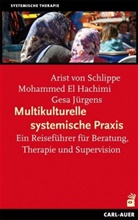 Hachim, Mohammed E Hachimi, Mohammed El Hachimi, Jürgens, Jürgens, Gesa Jürgens... - Multikulturelle systemische Praxis