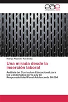 Rodrigo Alejandro Ruiz Godoy - Una mirada desde la inserción laboral