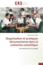 Pape Cheikh Ndiaye, Ndiaye-p - Organisation et pratiques