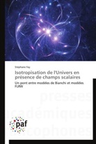 Stéphane Fay, Fay-s - Isotropisation de l univers en