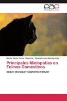 Vivi Nannig Jerez, Viviana Lorena Nannig Jerez, Héctor Danie Torres Chavarría, Héctor Daniel Torres Chavarría - Principales Mielopatías en Felinos Domésticos
