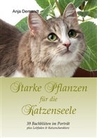 Anja Demandt - Starke Pflanzen für die Katzenseele