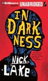 Nick Lake, Benjamin L. Darcie, Benjamin L. Darcie - In Darkness (Audio book)