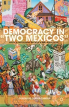 CORREA CABRERA GUADALUPE, G Correa-Cabrera, G. Correa-Cabrera, Guadalupe Correa-Cabrera - Democracy in 'Two Mexicos'