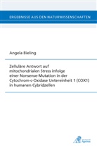 Angela Bieling - Zelluläre Antwort auf mitochondrialen Stress infolge einer Nonsense-Mutation in der Cytochrom-c-Oxidase Untereinheit 1 (COX1) in humanen Cybridzellen