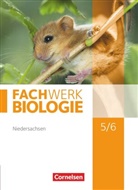 Anke Pohlmann, Ank Form, Ud Hampl, Udo Hampl, Mariann Herrmann, Marianne Herrmann... - Fachwerk Biologie, Ausgabe Niedersachsen: Fachwerk Biologie - Niedersachsen - 5./6. Schuljahr