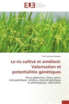 Yves Fructueux Agnoun, Agnoun-y - Le riz cultive et ameliore: