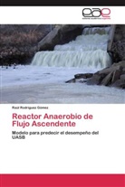 Raúl Rodríguez Gómez - Reactor Anaerobio de Flujo Ascendente