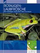 Eisenber, Tobia Eisenberg, Tobias Eisenberg, Kaesling, Jörg Kaesling - Rotaugenlaubfrösche
