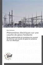 Marc Duchesne, Duchesne-m - Phenomenes electriques sur une
