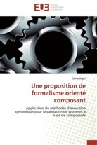 Céline Bigot, Bigot-C - Une proposition de formalisme
