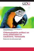 Hernández, Vianellys Hernández A., Carme Mogollon D, Carmen Mogollon D, Carmen Mogollon D., Carlo Rodríguez Leo... - Chlamydophila psittaci en aves psitacidas en cautiverio, Venezuela