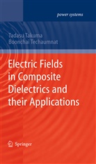 Tadas Takuma, Tadasu Takuma, Boonchai Techaumnat - Electric Fields in Composite Dielectrics and their Applications
