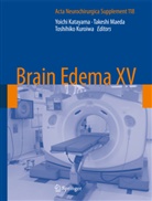 Yoichi Katayama, Toshihiko Kuroiwa, Takesh Maeda, Takeshi Maeda - Brain Edema XV