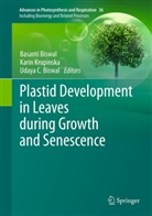 Basanti Biswal, U. C. Biswal, U.C. Biswal, Udaya C. Biswal, Udaya C Biswal, Kari Krupinska... - Plastid Development in Leaves during Growth and Senescence