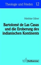 Matthias Gillner - Bartolome de las Casas und die Eroberung des indianischen Kontinents