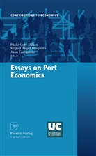 Migue Angel Pesquera, Miguel Angel Pesquera, Juan Castanedo, Pablo Coto-Millán, Miguel Angel Pesquera - Essays on Port Economics