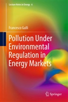 Francesco Gulli, Francesco Gullì - Pollution Under Environmental Regulation in Energy Markets