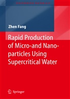 Zhen Fang - Rapid Production of Micro- and Nano-particles Using Supercritical Water