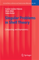 Bechet, Fabien Bechet, Olivie Millet, Olivier Millet, Evarist Sanchez-Palencia, Evariste Sanchez-Palencia - Singular Problems in Shell Theory