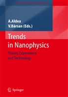 Alexandr Aldea, Alexandru Aldea, Bârsan, Bârsan, Victor Bârsan - Trends in Nanophysics