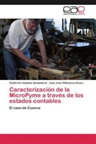 Guillerm Ceballos Santamaría, Guillermo Ceballos Santamaría, Villanueva Álvaro, Juan José Villanueva Álvaro - Caracterización de la MicroPyme a través de los estados contables