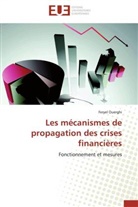 Feryel Ouerghi, Ouerghi-f - Les mecanismes de propagation des