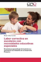 Héctor Núñez Guzmán - Labor correctiva en escolares con necesidades educativas especiales