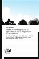 Louis Sawadogo, Sawadogo-l - Facteurs anthropiques et