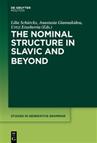 Urtzi Etxeberria, Anastasi Giannakidou, Anastasia Giannakidou, Peter Kosta, Lilia Schurcks, Lilia Schürcks - The Nominal Structure in Slavic and Beyond