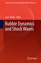 Can F. Delale, Ca F Delale, Can F Delale - Bubble Dynamics and Shock Waves