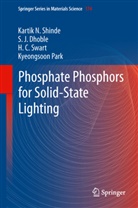 S Dhoble, S J Dhoble, S. J. Dhoble, S.J. Dhoble, Kyeongsoon Park, Kartik Shinde... - Phosphate Phosphors for Solid-State Lighting