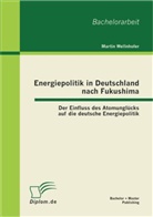 Martin Wellnhofer - Energiepolitik in Deutschland nach Fukushima