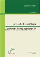 Mario Daum - Atypische Beschäftigung