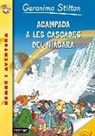 Geronimo Stilton, Lorenzo Chiavini, Roberto Ronchi, Chiara Sacchi - Acampada a les cascades del Niàgara