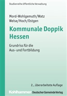 Carsten Hoch, Bernhar Mord-Wohlgemuth, Bernhard Mord-Wohlgemuth, Stephan Ostgen, Jürge Watz, Jürgen Watz... - Kommunale Doppik Hessen