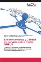 Rafael Andrés Bustos Guasca, Cesar A. Hernandez S., Cesa Hernandez Suarez, Cesar Augusto Hernandez Suarez, Francisco Javier Puente Pérez, Jose Octavio Salcedo P.... - Encaminamiento y Calidad de Servicio sobre Redes GMPLS