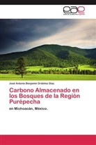 José Antonio Benjamín Ordóñez Díaz - Carbono Almacenado en los Bosques de la Región Purépecha